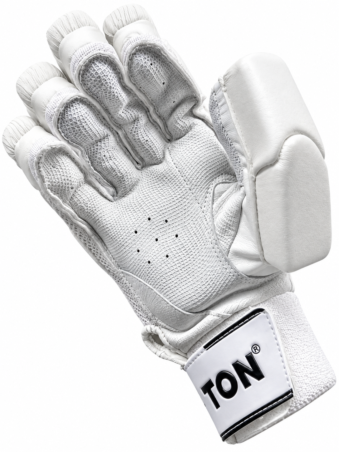 TON PLAYER EDITION